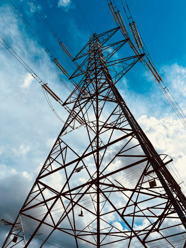 Interfacing Open Energy System Planning with ENTSO models and contributing to the TYNDP